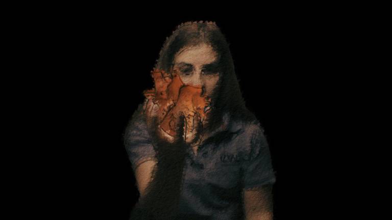 La muestra se conforma de 38 cortometrajes.