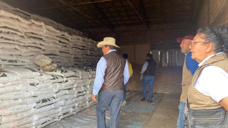 Llega a Sinaloa fertilizante gratuito para productores del Bienestar