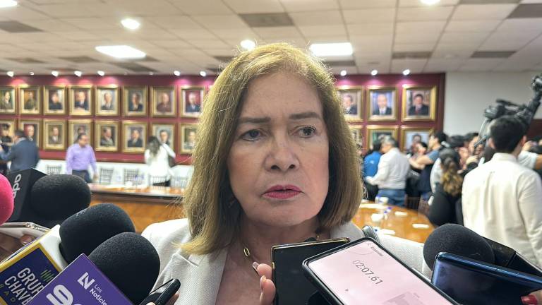 La Fiscal Sara Bruna Quiñónes señaló que el chofer y su abogada deseaban saber el contenido de la carpeta de investigación.