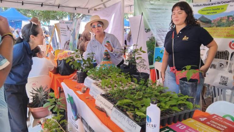La Expo Ambiental 2026 de Son Playas reunió cerca de 70 proyectos y 60 stands en el Instituto Tecnológico de Mazatlán.