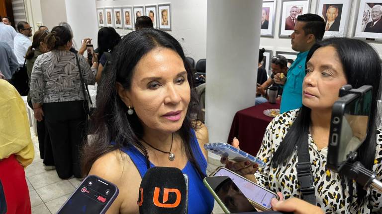 Camacho Guzmán señaló que entre las tareas se encuentra la revisión de árboles, palmeras, palapas y otros elementos ubicados en espacios públicos.