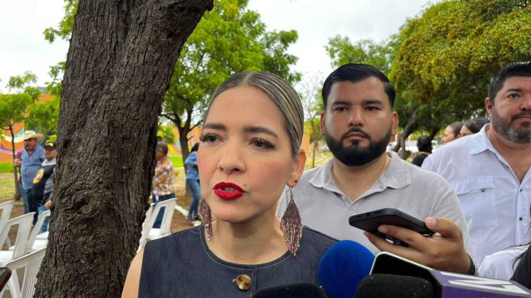 Estrella Palacios aseguró que dichas detenciones obedecieron a que realizaron la actividad sobre una propiedad privada y no por ejercer una manifestación.