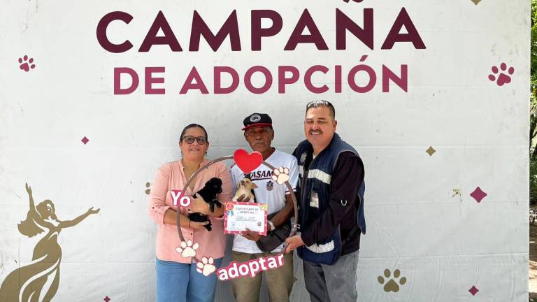 Cinco perros y dos gatos fueron adoptados durante la jornada “Huellitas del Bienestar”, realizada en el Parque Central.