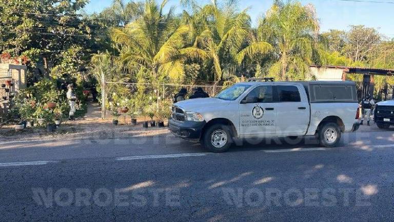 Autoridades resguardaron el vivero en Los Alamitos, Navolato, tras el ataque armado registrado la tarde del lunes.