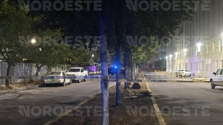 El cuerpo fue localizado sobre una banqueta del bulevar Alfonso Zaragoza Maytorena, en el sector Tres Ríos.