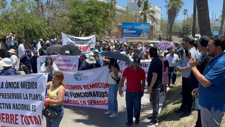 En los últimos meses, productores acuícolas se han manifestado en Mazatlán exigiendo el freno a las importaciones de camarón.