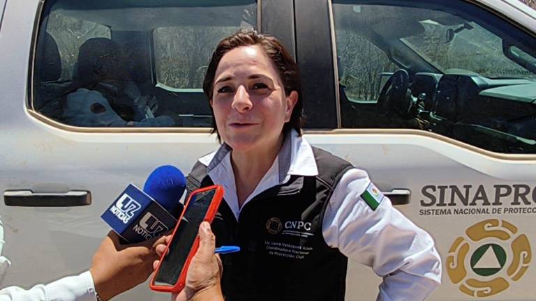 Corresponde a la Semarnat y a Trabajo hacer auditorías a minas, señala Laura Velázquez Alzúa.