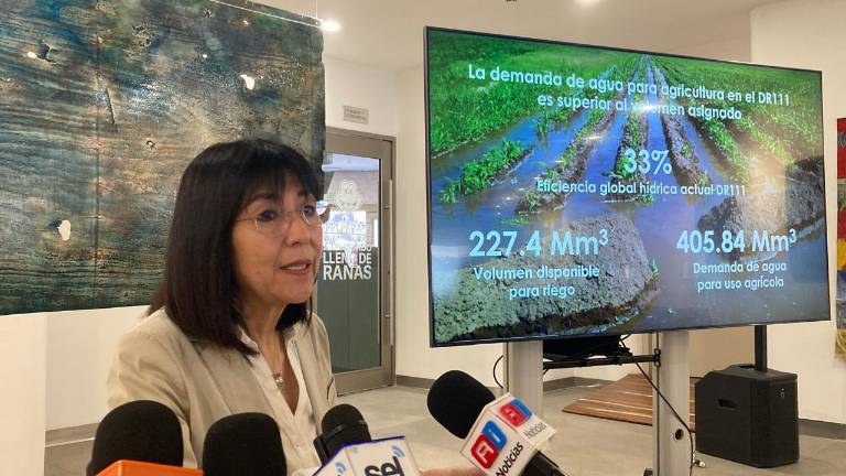 Guido Sánchez destacó que Mazatlán requieren cambios en la infraestructura urbana como la colocación de baquetas infiltrantes, jardines permeables y pozas de infiltración.