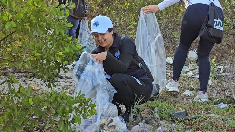 Con una participación récord de 100 jóvenes voluntarios, el colectivo MazConCiencia cumplió una nueva jornada de limpieza en el manglar de la Isla de la Piedra.