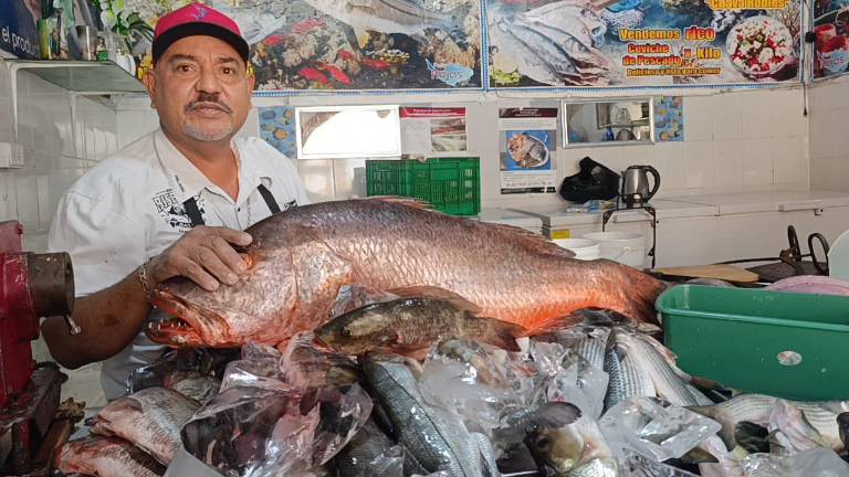 La venta de pescado en Escuinapa ha sido menor durante esta Cuaresma.