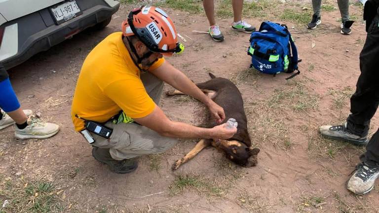 Elementos de Protección Civil rescataron a tres senderistas y una perrita extraviados en el Cerro de la Virgen, en Culiacán.