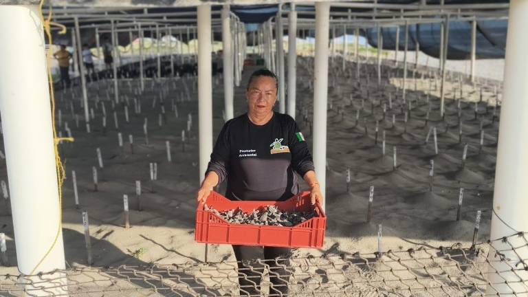 Marisela García Ramírez encontró en la conservación de las tortugas marinas una de sus pasiones en las playas de Rosario.