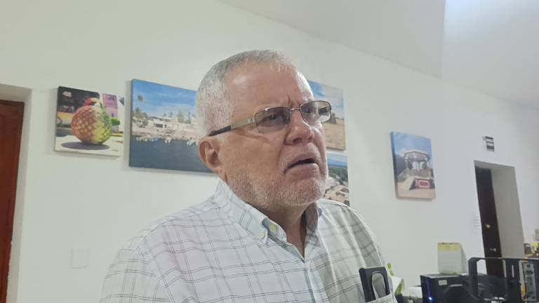 El Alcalde de Escuinapa Víctor Manuel Díaz Simental expuso que el tema de la violencia es atendido por la Federación.