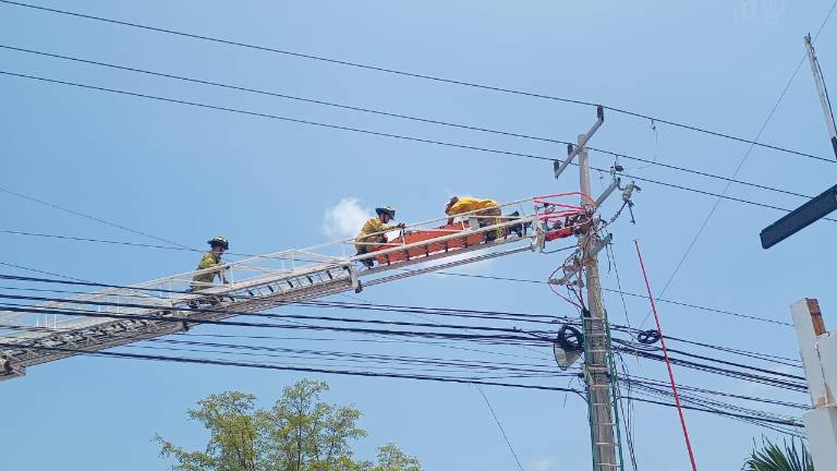 El hecho fue reportado a las 11:00 horas sobre la Carretera Internacional con sentido al norte y la calle Del Arroyo.