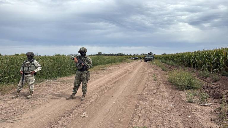 El colectivo de búsqueda Madres en Lucha por tu Regreso a Casa A.C., confirmó que el cadáver se encontraba en avanzado estado de descomposición.