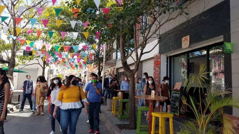 Enseñan sobre arborización urbana en Culiacán