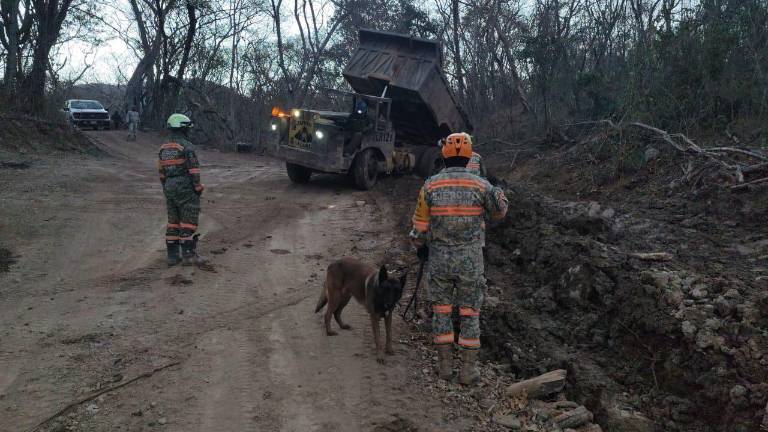 Los trabajos de búsqueda del cuarto minero atrapado en la mina de Rosario incluye la exploración de binomios caninos.
