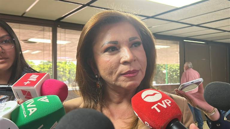 Félix Niebla señaló que escuelas de la zona norte de Sinaloa han tenido que ser fumigadas por problemas con pulgas.