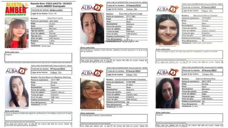 Todas ellas desaparecieron el 7 de marzo de 2023, cuando presuntamente se encontraban camino a San José de Guanajuato para ofrecer un servicio de banquetes.