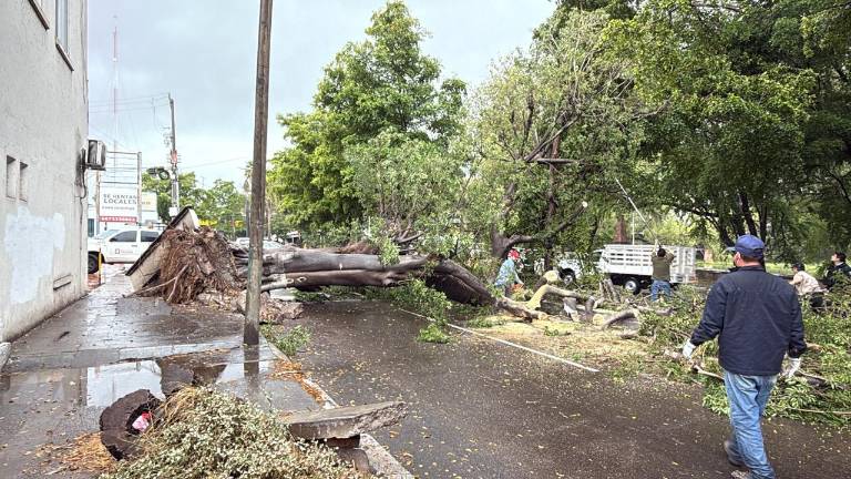 El incidente fue reportado alertando sobre el bloqueo del carril poniente a oriente del Paseo Niños Héroes, entre las calles Vicente Riva Palacio y Donato Guerra.