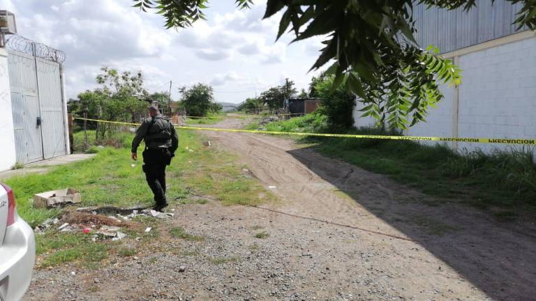 En Mazatlán hallan a un hombre asesinado a golpes