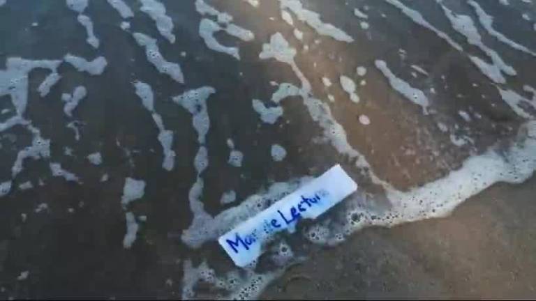 Del lunes 25 al sábado 30 de abril se desarrollará el segundo Encuentro Internacional de Mar de Lectura.