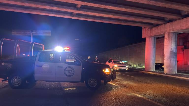 Las víctimas se encontraban conduciendo en un vehículo Hyundai gris cuando fueron perseguidas a tiros.