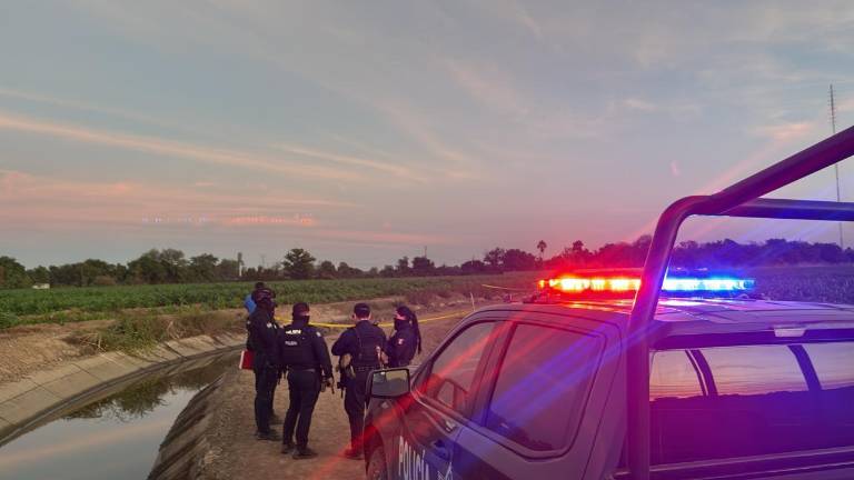 El hecho se reportó en un área de cultivo que se encuentra en los límites al oriente del poblado antes mencionado, perteneciente a la sindicatura de San Pedro.