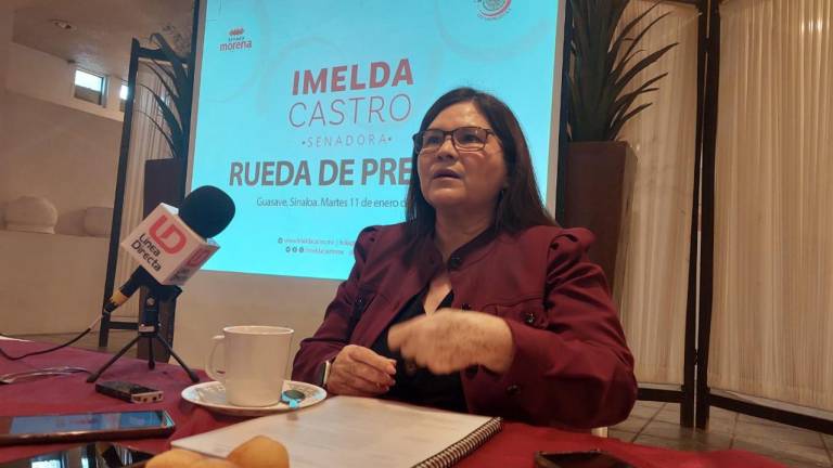 Ricardo Monreal es un ‘dolor de cabeza’ para senadores de Morena, afirma Imelda Castro