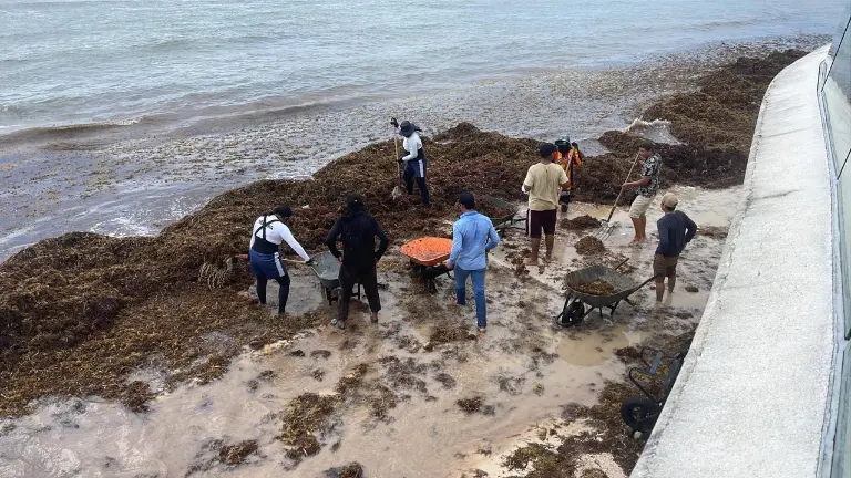 Continúa la implementación de la Estrategia de Atención al Sargazo.