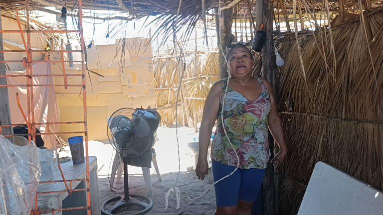 Martha Romero y su familia han construido durante 13 años una enramada de doble planta para disfrutar las Fiestas del Mar de Las Cabras.