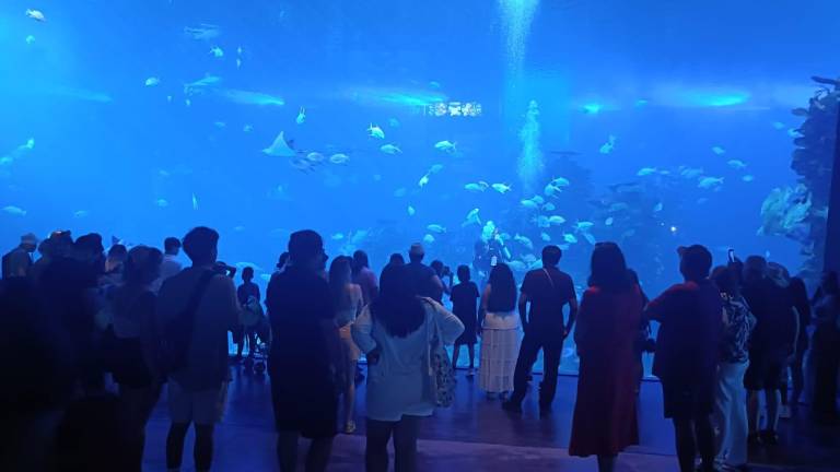 El Gran Acuario Mazatlán ofrece encuentros cercanos con fauna y experiencias educativas para toda la familia.