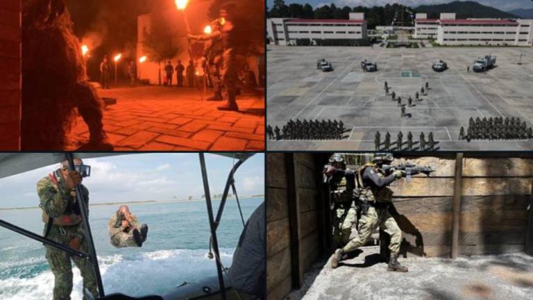 El Pleno del Senado, aprobó la expedición de una nueva Ley Orgánica de la Armada de México, que formalizó las nuevas atribuciones que mediante decretos presidenciales.