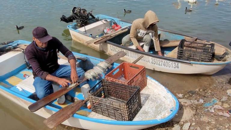 Pescadores señalaron que no han recibido apoyos para motores marinos por el Gobierno del Estado.