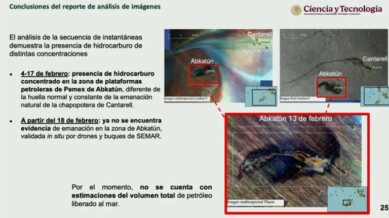 El derrame de hidrocarburo en el Golfo de México afectó costas de cuatro estados mexicanos y zonas de EU.
