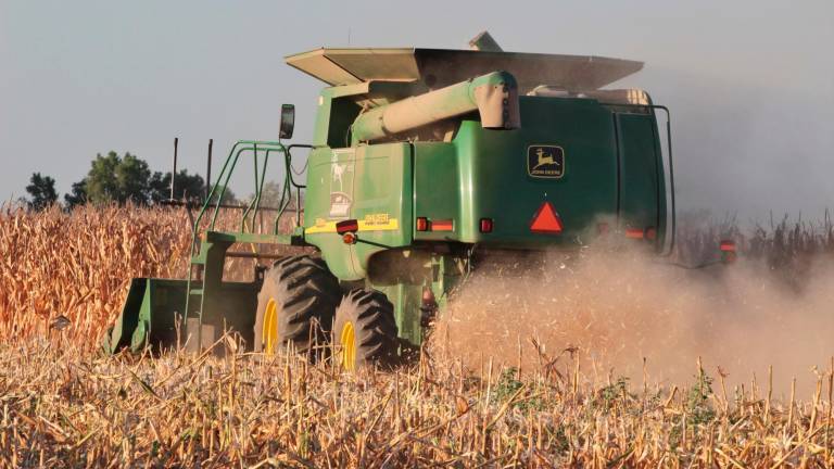 El USDA prevé que para el próximo año haya 3.46 millones de toneladas de maíz en México.