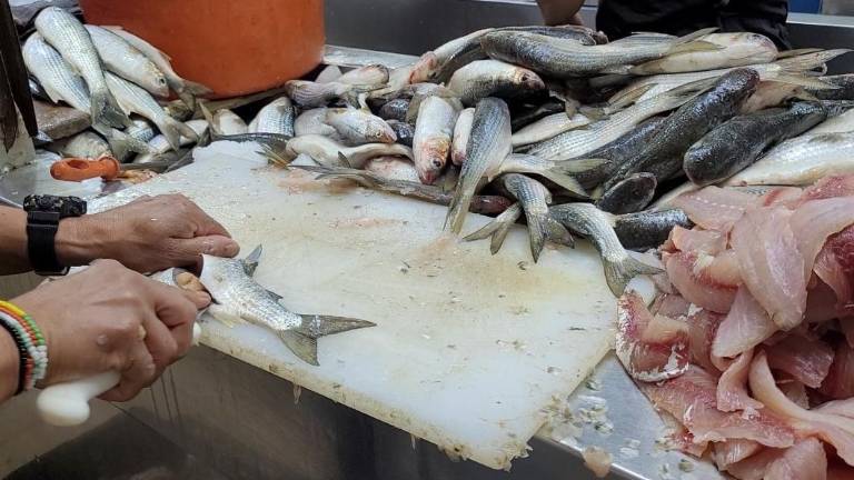Aunque la Cuaresma significaba buenas ventas en el Mercado Garmendia, en Culiacán, esto no ha ocurrido esta semana.