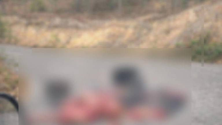 En una carretera de Guerreron fueron encontrado siete cuerpos desmembrados el martes.
