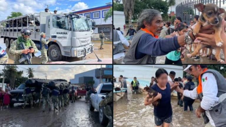 Las lluvias generalizadas en cinco estados del país han dejado al menos 37 personas fallecidas.