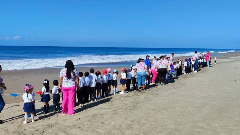 El Grupo Tortuguero Huizache Caimanero invita a liberación de crías este sábado.