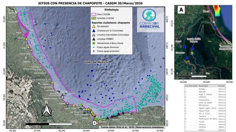 Zona de impacto en el Golfo de México del derrame de hidrocarburos.