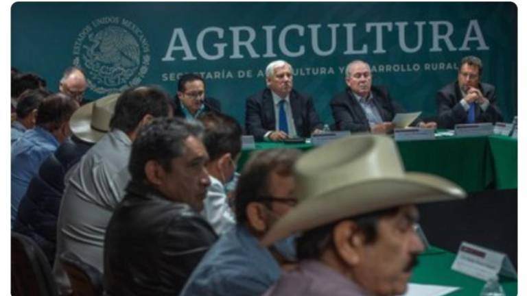 El titular de Agricultura, Víctor Villalobos Arámbula, en conferencia.