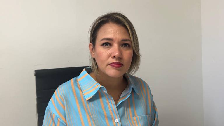 Erika Sánchez Martínez destacó que la inversión en infraestructura ha sufrido una caída en los últimos tres años.