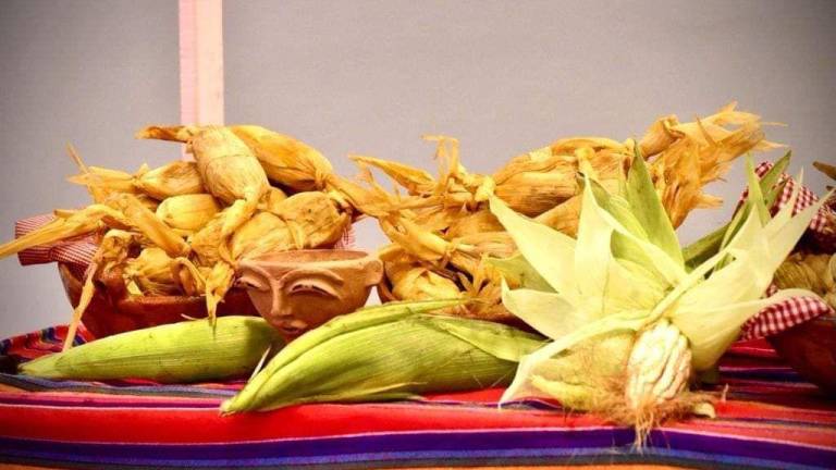 Es este domingo 28 de enero la Feria del Tamal en La Noria; habrá todo tipo de tamales