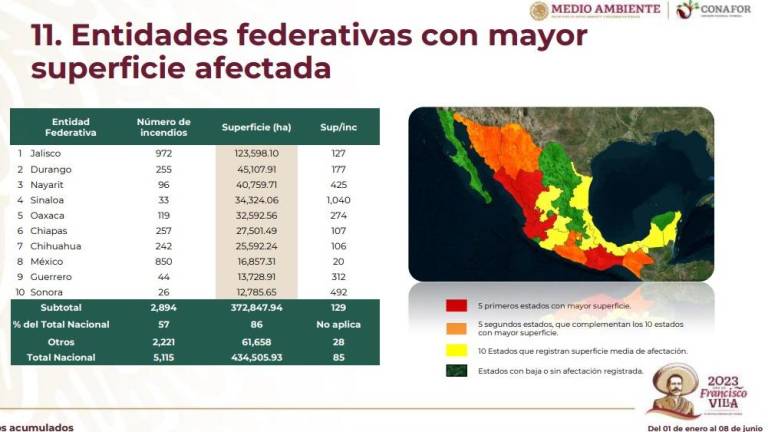 Después de 33 incendios forestales registrados este año, Sinaloa se ubica en el cuarto lugar nacional entre las entidades con mayor superficie afectada.