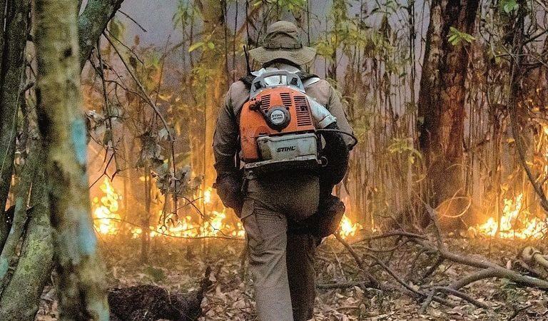 $!El 8 de octubre de 2020 el gobierno boliviano declaró desastre natural debido a la fuerte temporada de incendios.