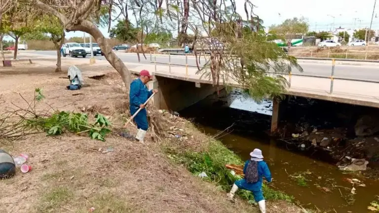 Ovalle Acosta destacó que los residuos que más se han encontrado durante las jornadas de limpieza son basura doméstica, madera, muebles, electrodomésticos e incluso escombros.
