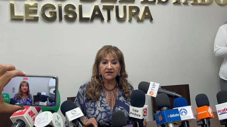 La Diputada local Tere Guerra Ochoa informó que una comisión de diputadas y diputados, junto con ciudadanos, viajarán a la CDMX a hacer gestiones ante la CFE.