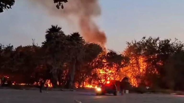 Uno de los incendios en predios registrados el martes en Los Mochis.
