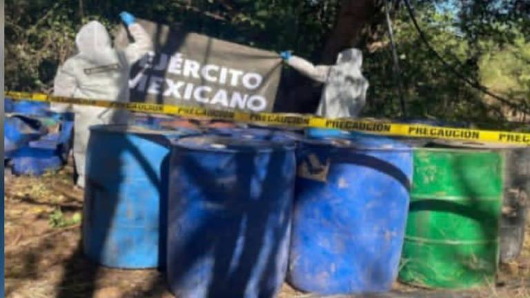 Los hallazgos y decomisos se efectuaron en distintos puntos de los municipios de Culiacán, Cosalá y Mocorito.